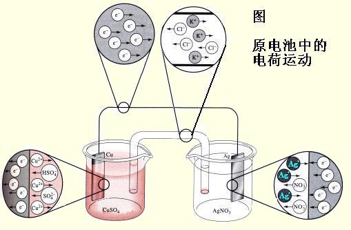 電化學香蕉视频APP色版