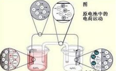 香蕉视频APP色版