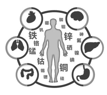 醫用香蕉视频APP色版廠家談微量元素的重要性